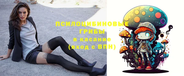 СК Михайловск