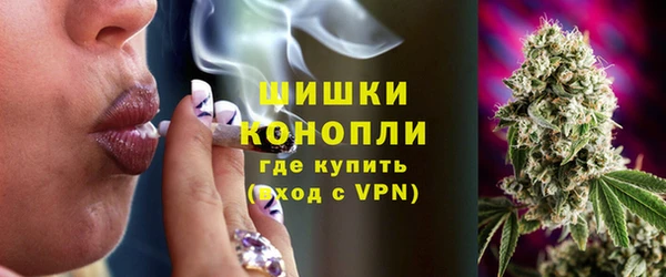 гидра Наволоки